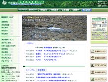 Tablet Screenshot of ies.or.jp